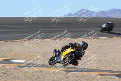 media/Jan-13-2024-SoCal Trackdays (Sat) [[9c032fe5aa]]/Bowl Exit Set 2 (1135am)/